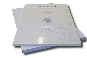 Diplomarbeit als Taschenbuch gebunden